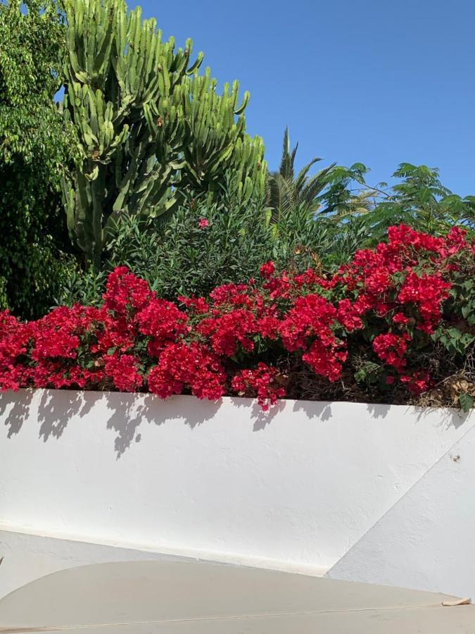 Lovely Villa Nico Playa Blanca, Hot Tub, Communal Pool מראה חיצוני תמונה